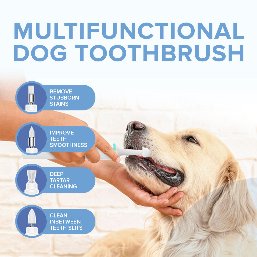 Tandbørste til hunde
