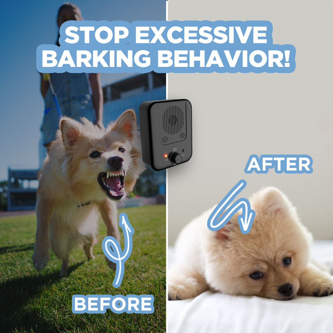 BarkBuddy Pain Free Anti-Barking Device