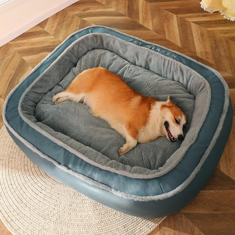 Dog lying on Bed - Pupsdream