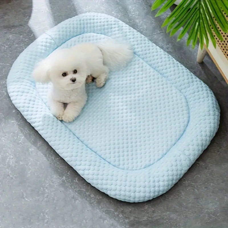 Cute Dog Bed