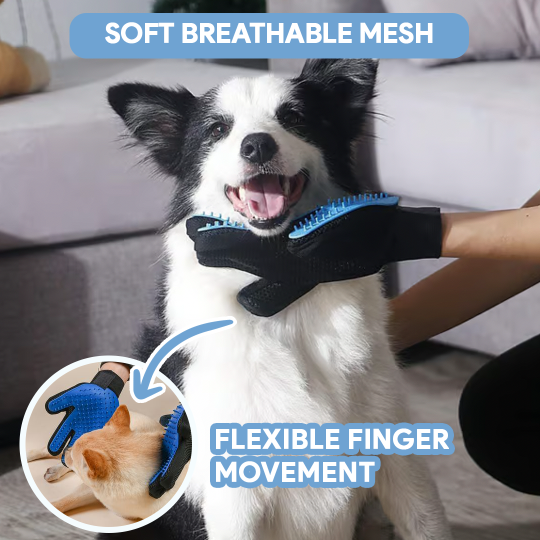 Grooming Pet Glove